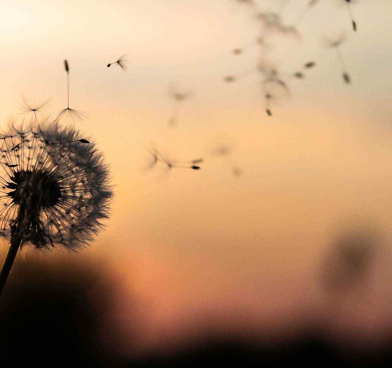 https://poshlaws.com/wp-content/uploads/2018/09/post_02-1280x1200.jpg