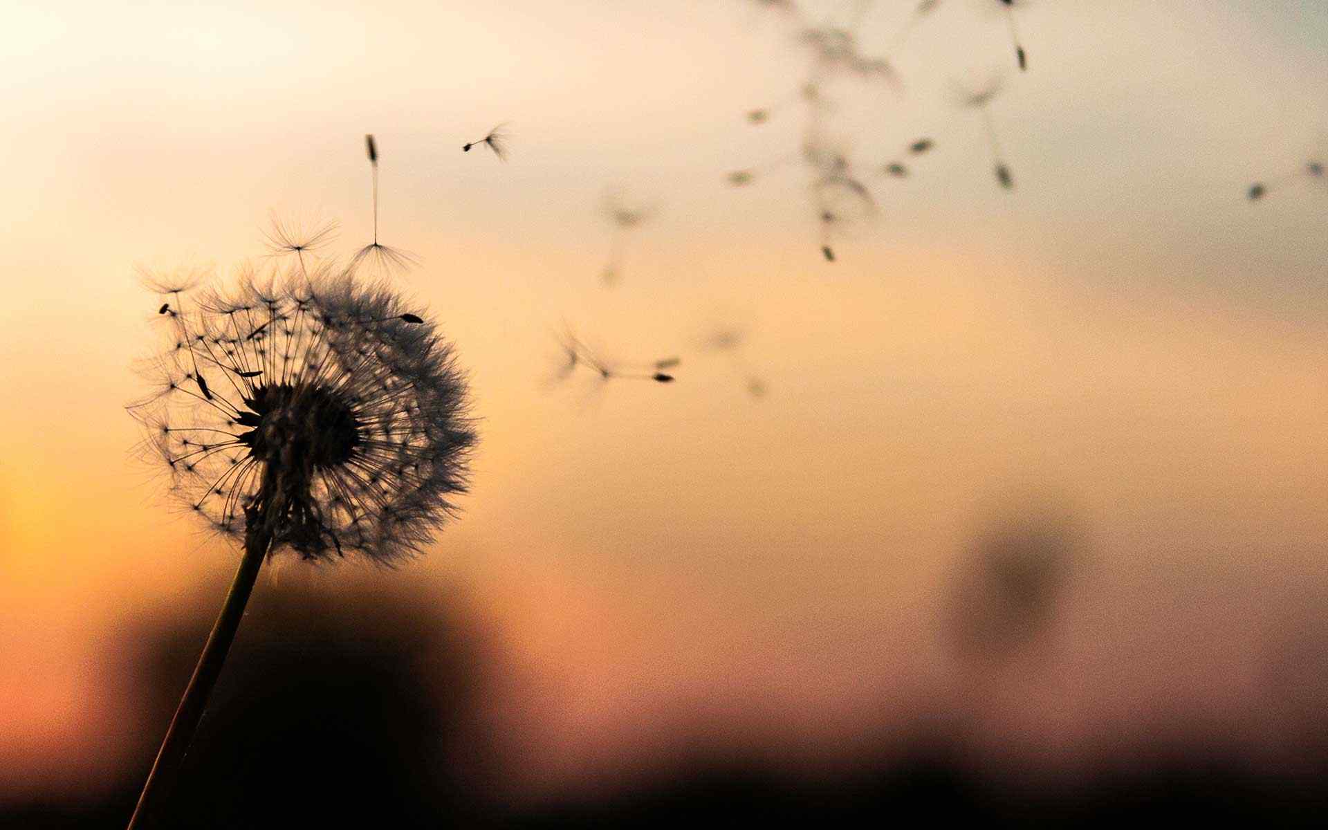 https://poshlaws.com/wp-content/uploads/2018/09/post_02.jpg